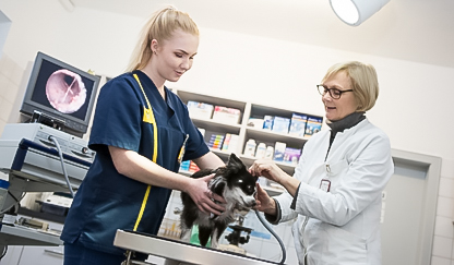 content_behandlung-2 content_behandlung-2